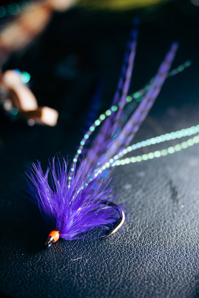 Classic Tarpon Bug - Purple